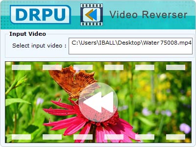 Video Reverser